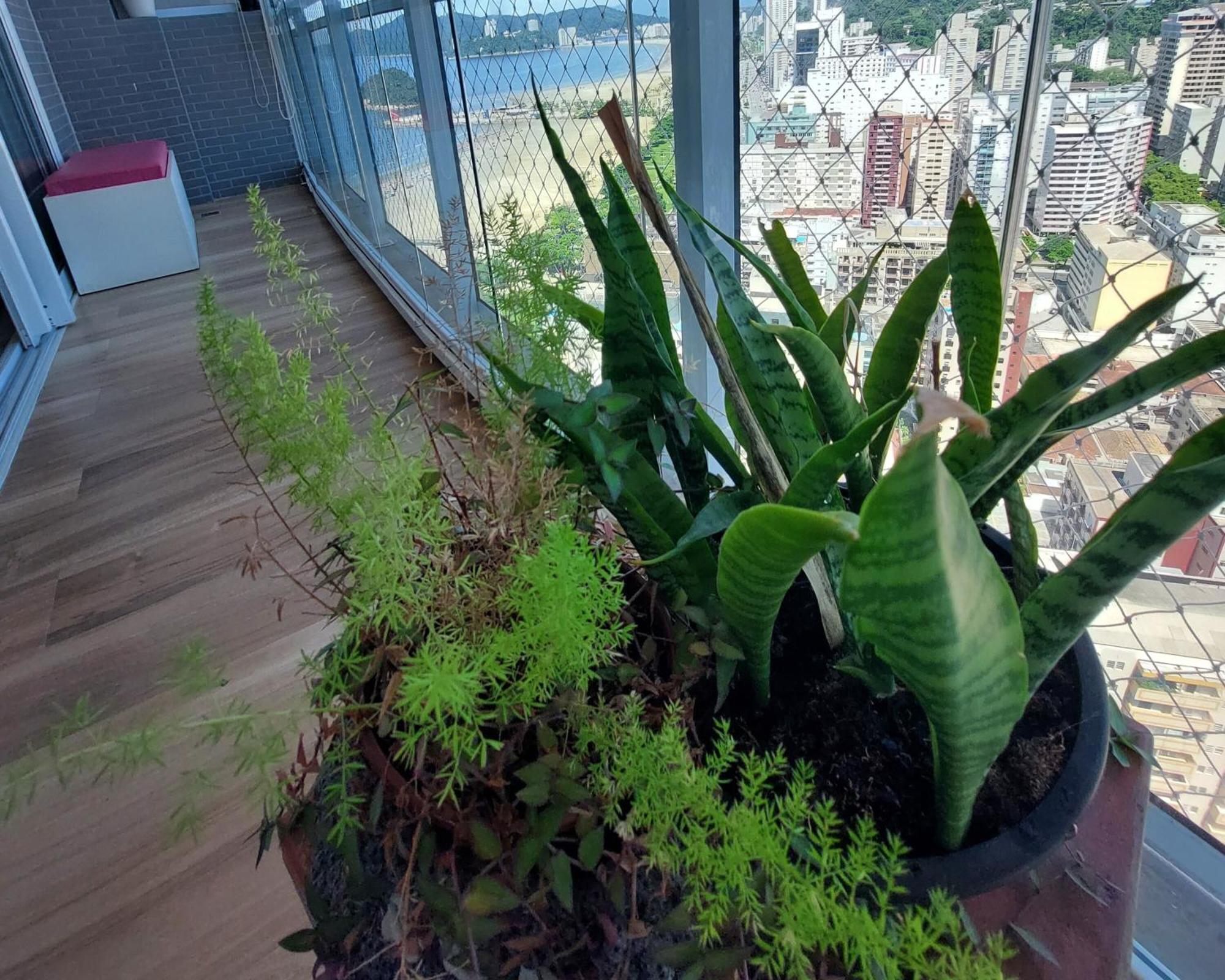Apartment Book - Unlimited 3111 - Decoracao E Vista Mar Santos (Sao Paulo)